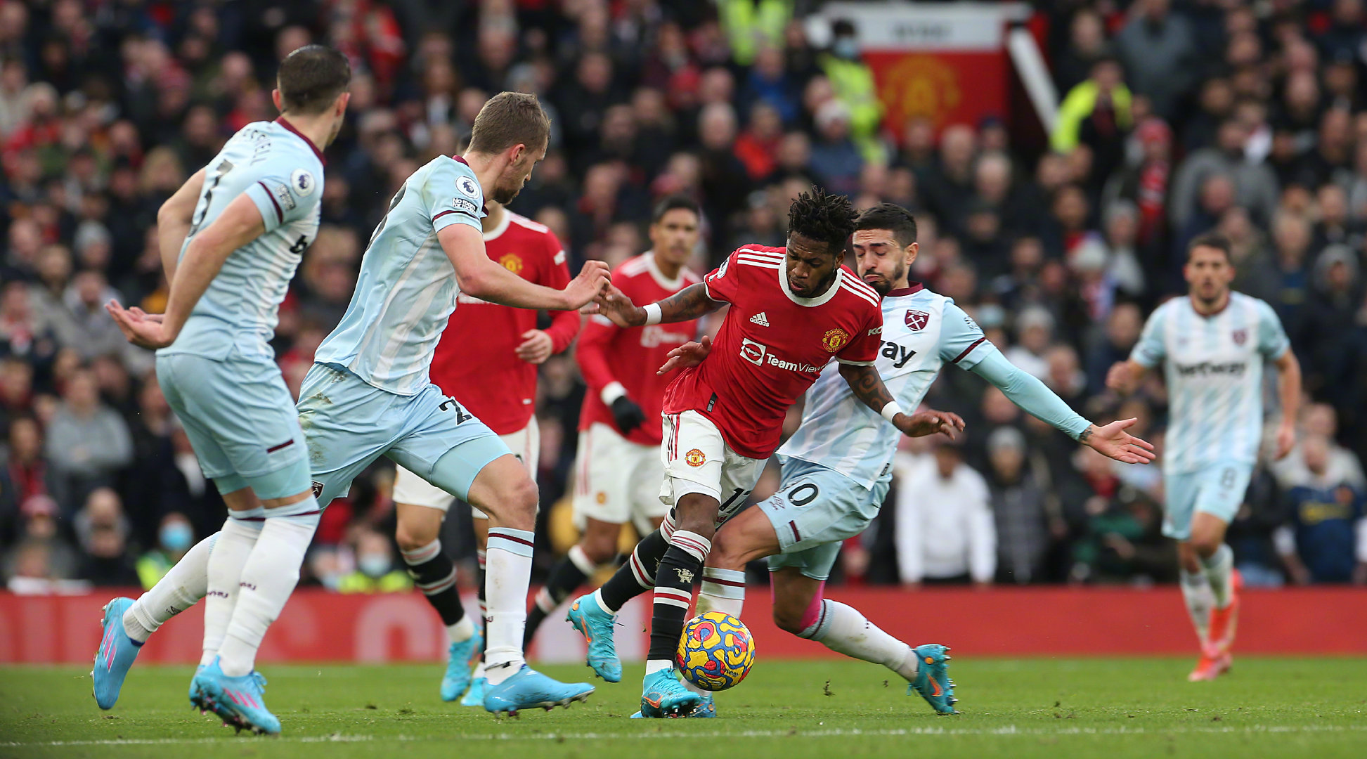 伸出橄榄枝 伸出橄榄枝